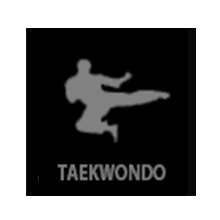 taekwondoo7